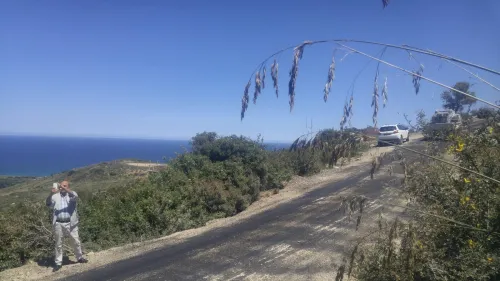 Vente Terrain Tizi Ouzou Ait chaffaa