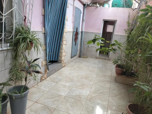 Vente Local Aïn Defla Rouina