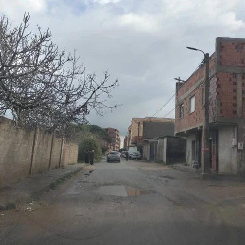 Vente Terrain Boumerdès Zemmouri