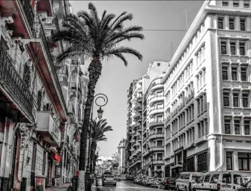 Vente Appartement F3 Alger Alger centre