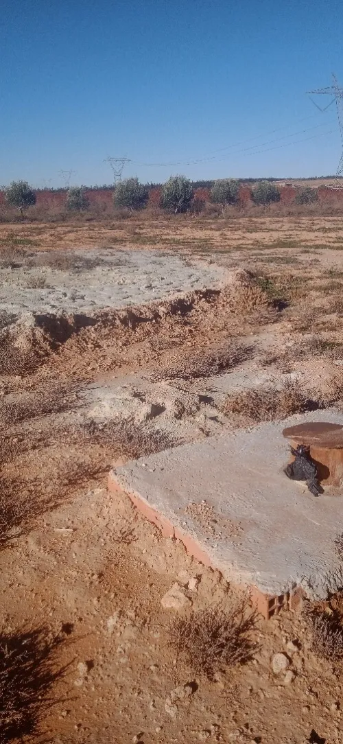 Vente Terrain Agricole Djelfa Djelfa