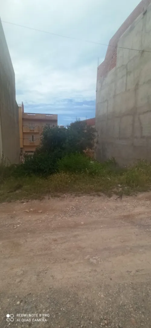 Vente Terrain Tlemcen Marsa ben mhidi
