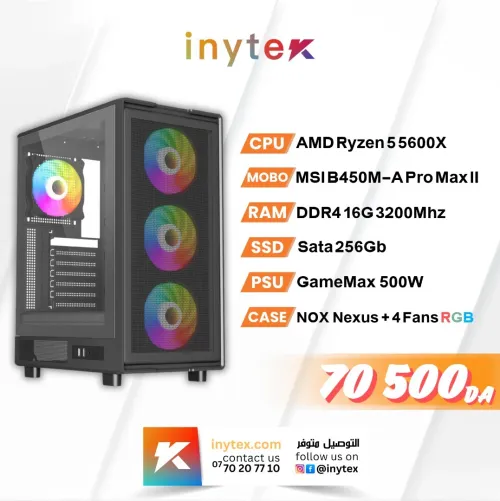 Unité Gamer AMD Ryzen 5 5600x 16g RAM 256 SSD B450