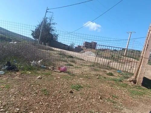 Vente Hangar - Usine Tlemcen Nedroma