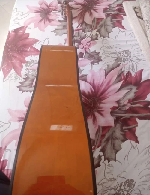 Guitare Acoustique lenson