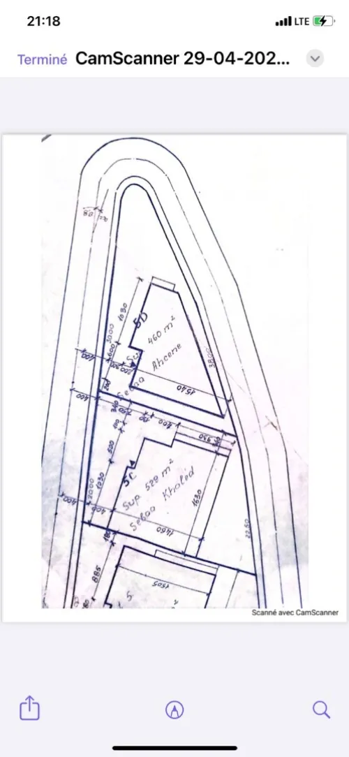 Vente Terrain Alger Bouzareah