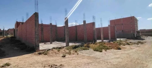 Vente Terrain Batna Ain yagout