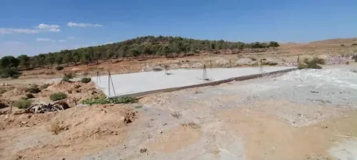 Vente Terrain Batna Ain yagout