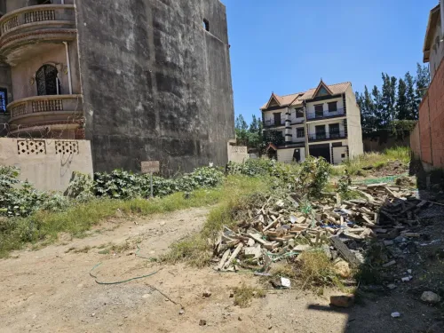 Vente Terrain Blida Chiffa