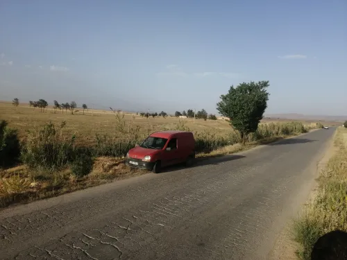 Vente Terrain Agricole Tiaret Sougueur