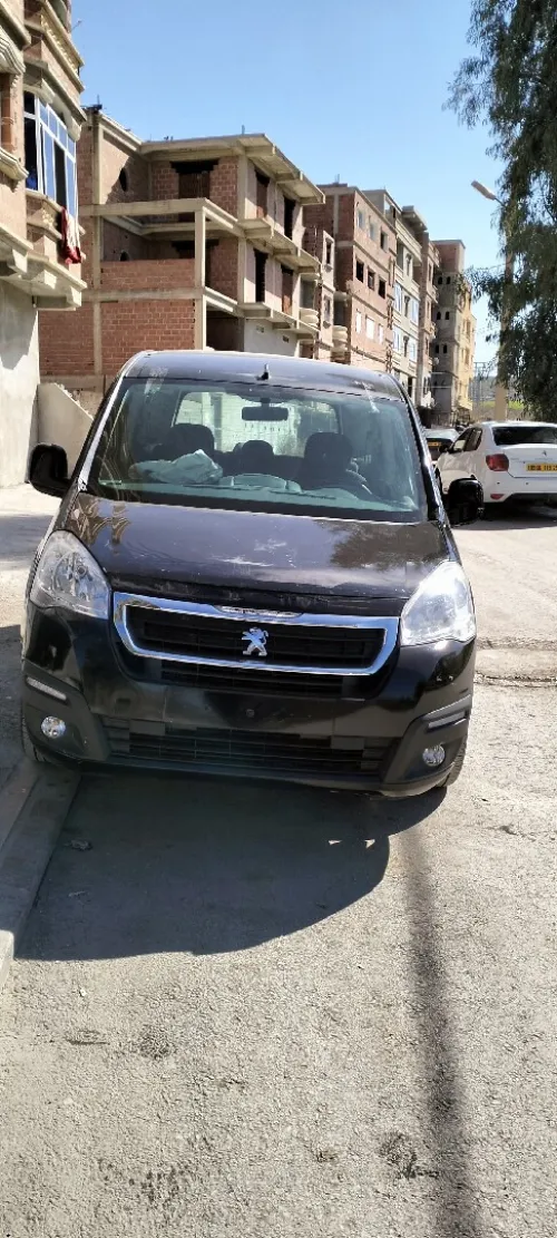 Peugeot Partner 2011 Tepee