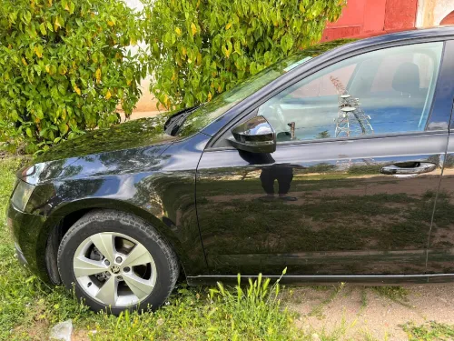Skoda Octavia 2019 Business
