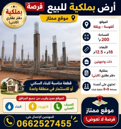Vente Terrain Ouargla Ngoussa