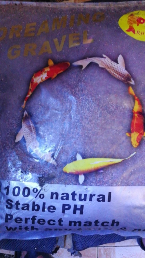 Sable pour aquarium de poisson 