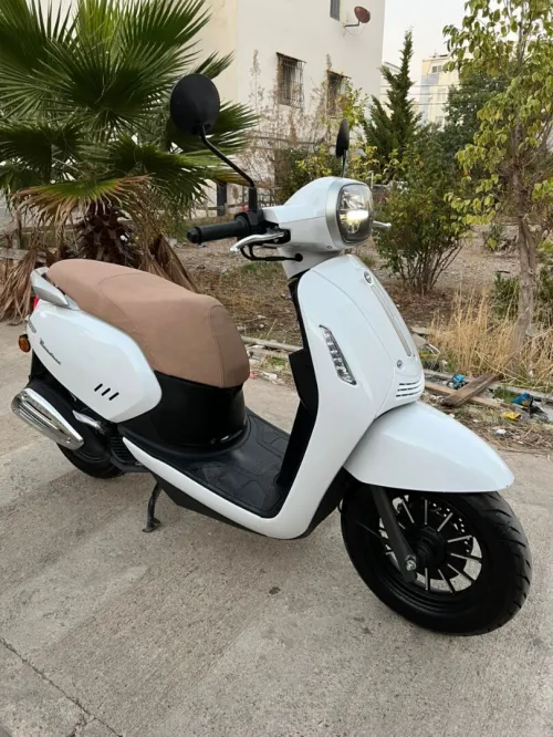 Benilli Panarea 2025
