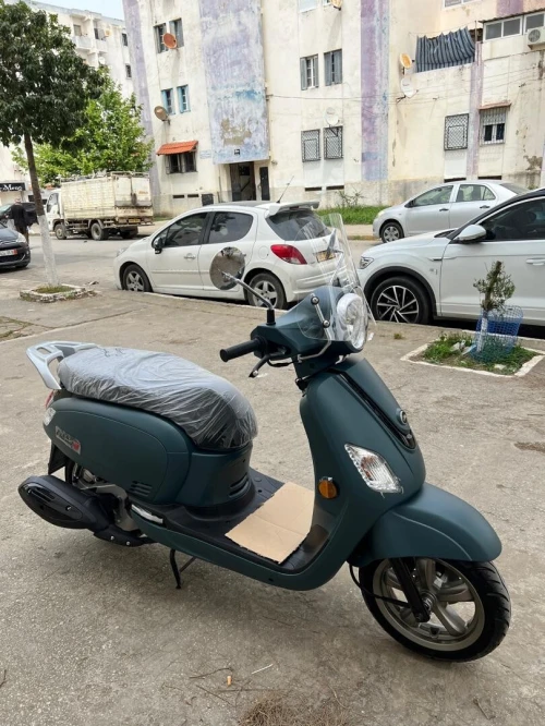 Sym Fiddle 2025