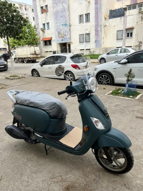 Sym Fiddle 3 2025