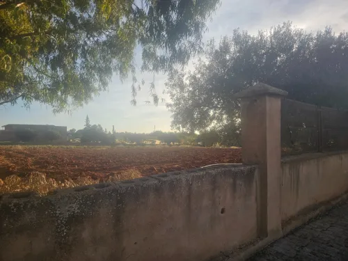 Vente Terrain Mostaganem Ouled el kheir
