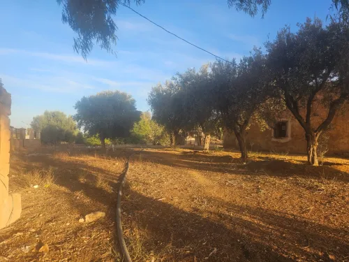 Vente Terrain Mostaganem Ouled el kheir