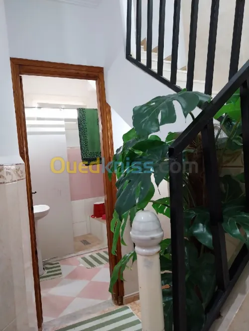 Location Appartement Studio Alger Hammamet