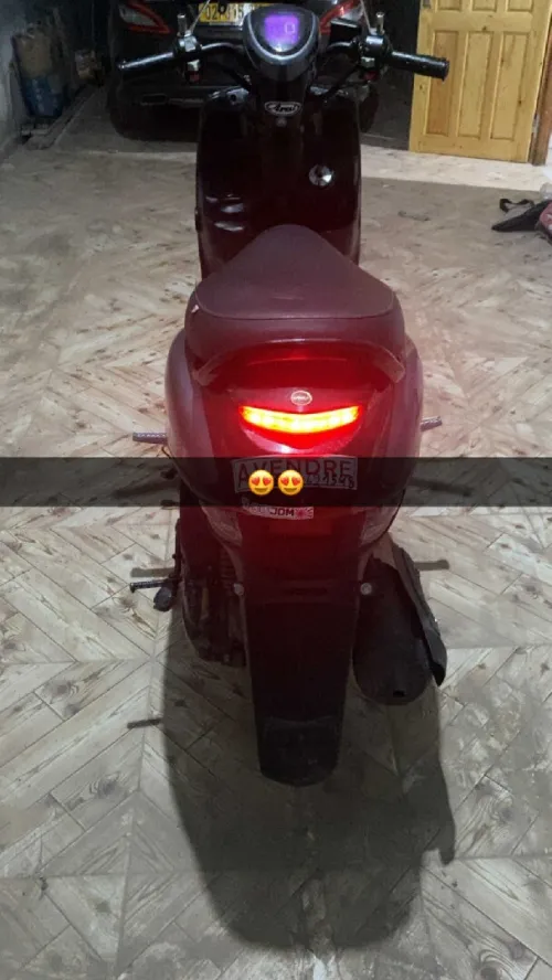 Coxu Coxu 2 2022