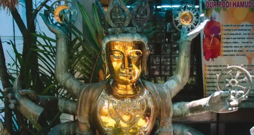 Splendeur du Sri Lanka - - Circuit de 8 jours et 7 nuits au Sri Lanka mois de Mai le prix a partir de 337 999 DA