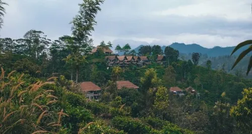 Splendeur du Sri Lanka - - Circuit de 8 jours et 7 nuits au Sri Lanka mois de Mai le prix a partir de 337 999 DA