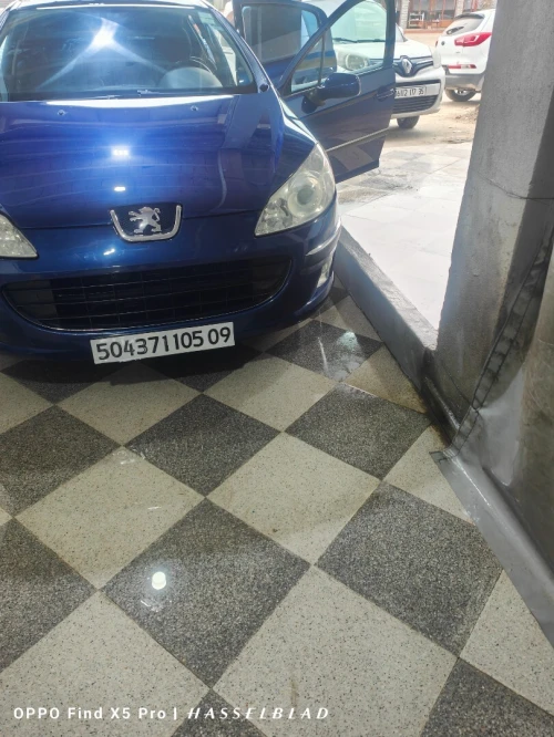Peugeot 407 2005 407