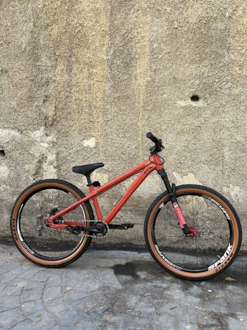 SANTA CRUZ JACKAL