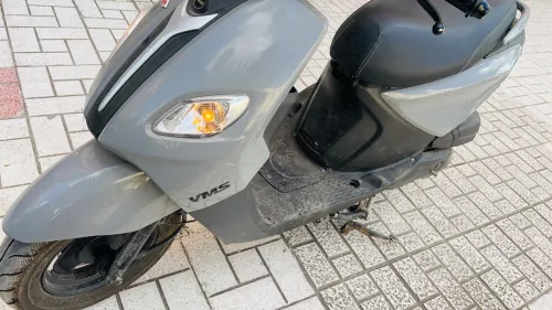 Joci Vms 2024