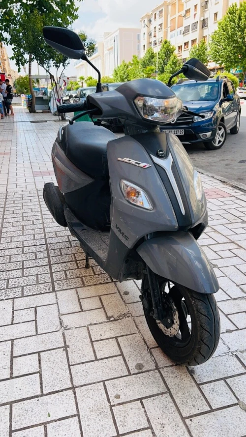 Joci Vms 2024