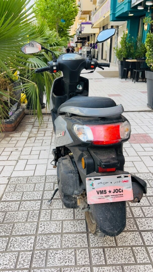 Joci Vms 2024