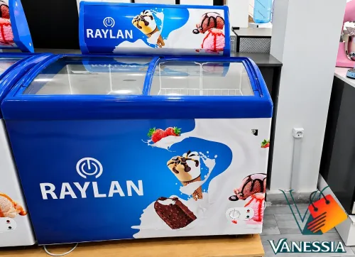 Congélateur Présentoir Marque Raylan 258L