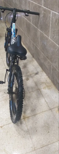 Vélo pingouin 2025 24 pouse