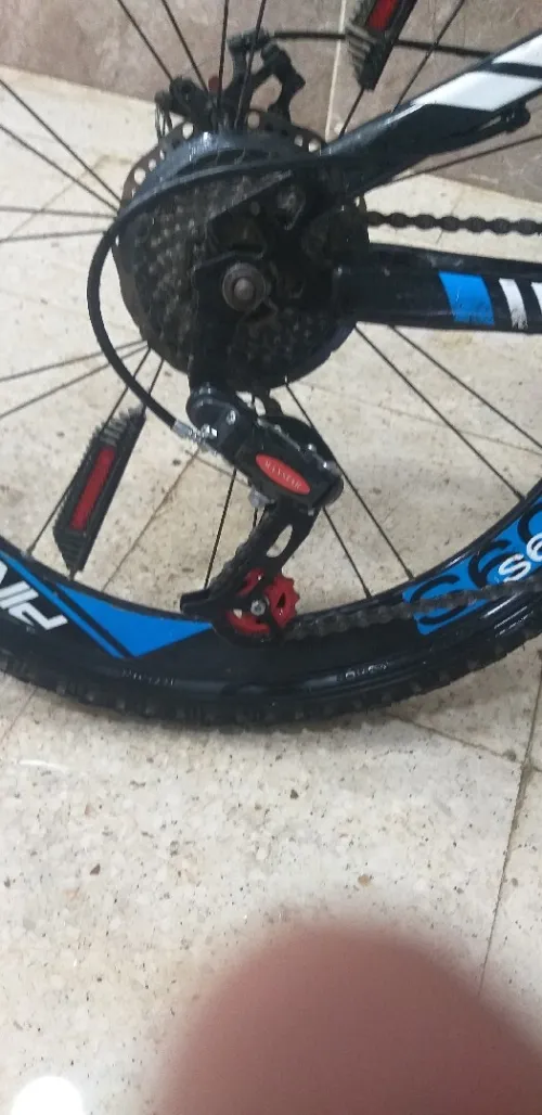 Vélo pingouin 24 pouse