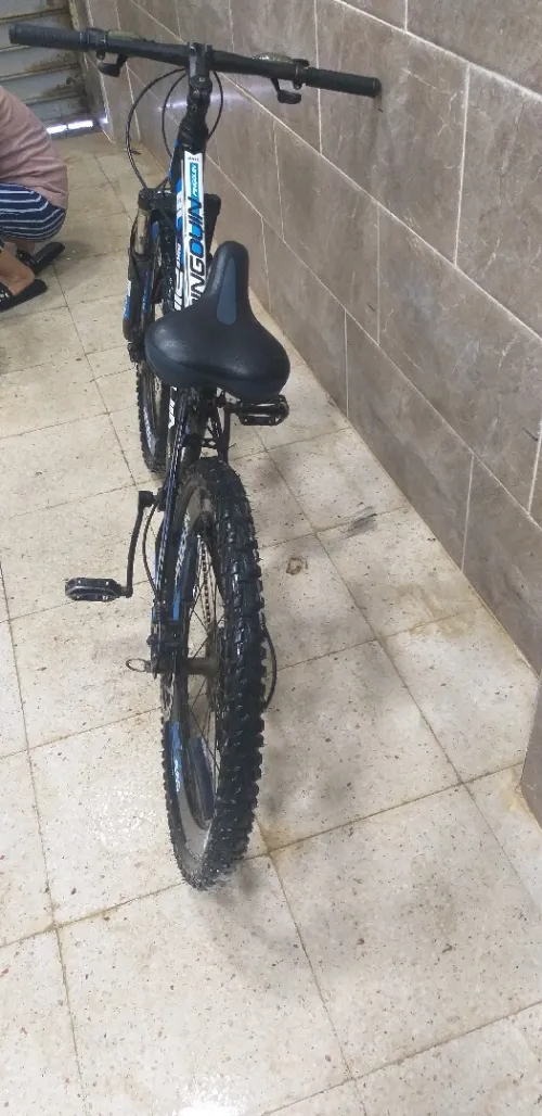 Vélo pingouin 24 pouse