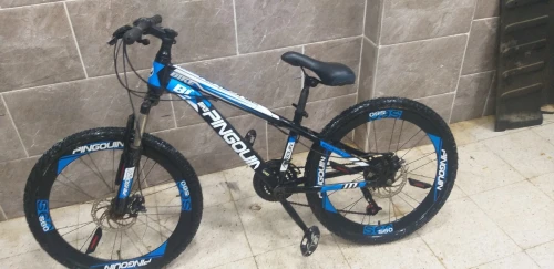 Vélo pingouin 24 pouse