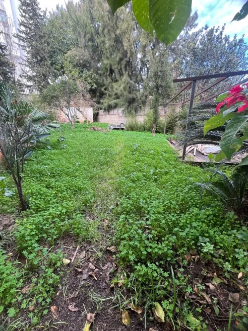 Vente Villa Alger Hydra