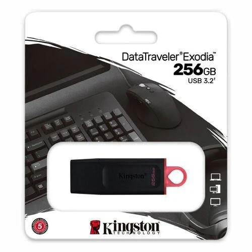 FLASH DISQUE KINGSTON 256 GB