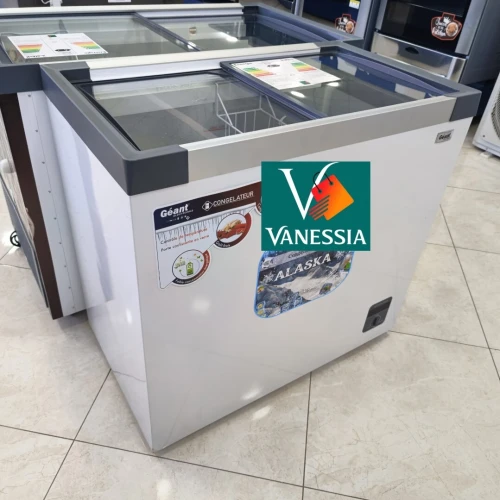 Congélateur Vitré 254L Marque Géant