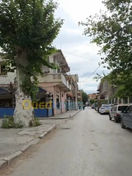 Vente bien immobilier Blida Boufarik