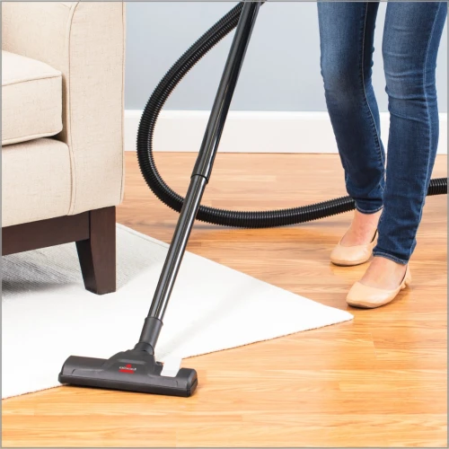 Aspirateur BISSELL Easy Vac