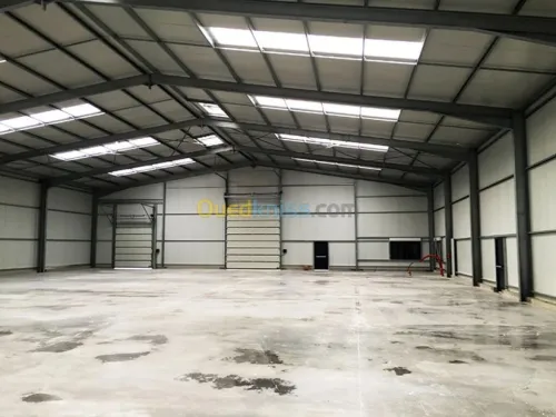 Location Hangar - Usine Boumerdès Hammedi