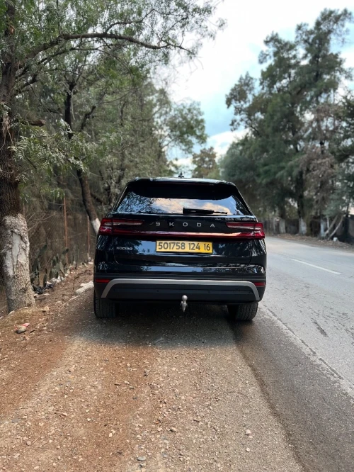 Skoda Kodiaq 2024 