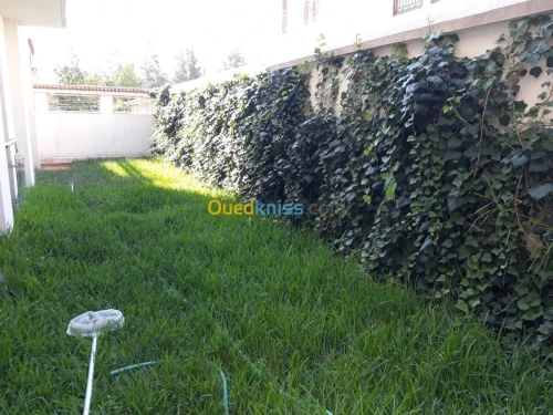 Location Villa Alger Hydra