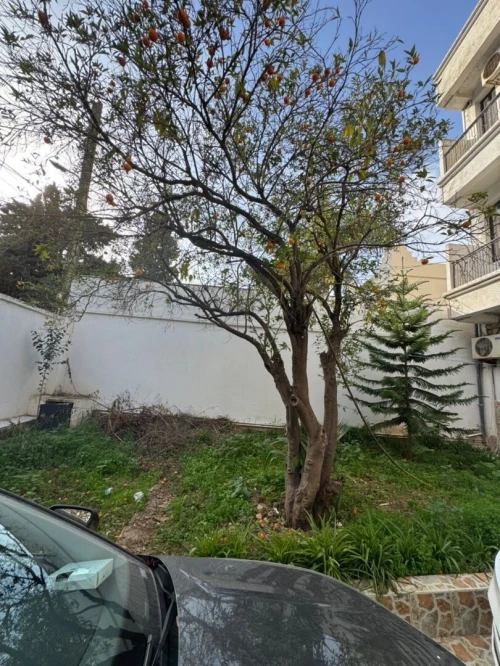 Vente Villa Alger Hydra