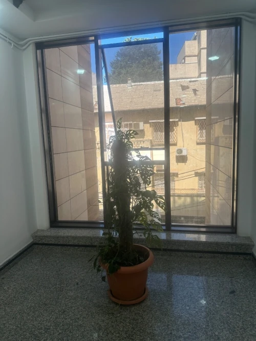 Location Villa Alger Hydra