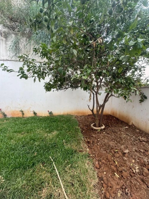 Location Villa Alger El biar