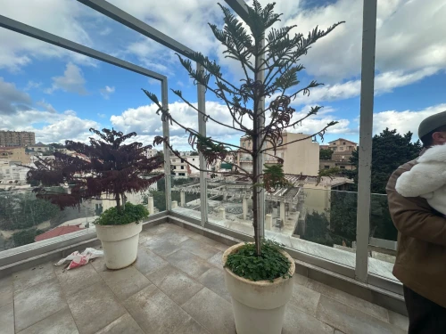 Location Villa Alger Hydra