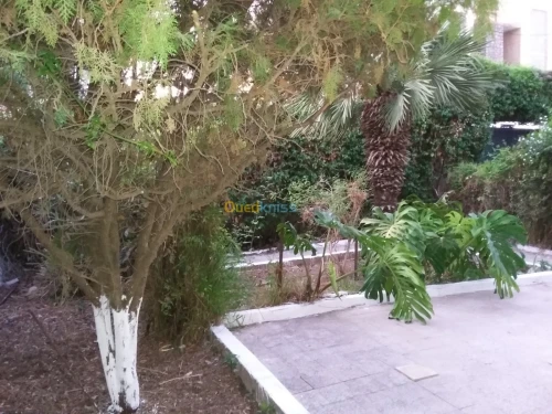 Vente Villa Alger El biar